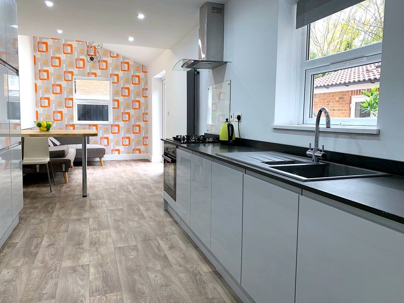 Co-Living Houses: kitchen, communal area